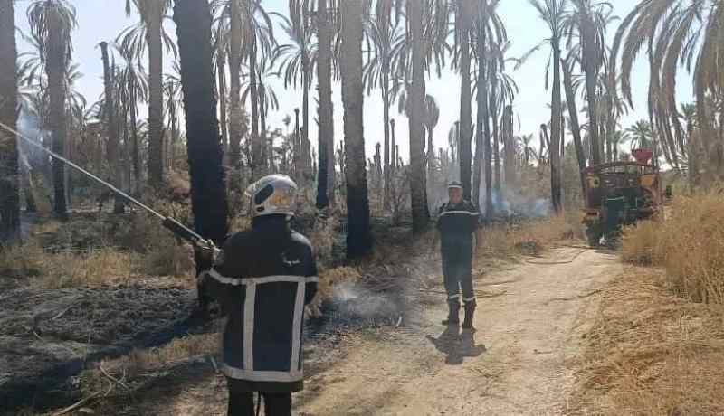 المغير.. الحماية المدنية تنجح في اخماد حريق بغابات النخيل 