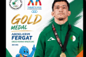 فرقات يهدي الجزائر أول ذهبية في تارانتو 2026