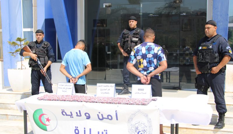 شرطة تيبازة تطيح بـ 3 شبكات بيع المؤثرات العقلية وتضبط 11 ألف كبسولة