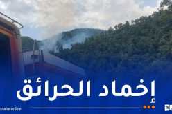 4 منها قيد الإخماد.. تسجيل 54 حريقا في يوم واحد