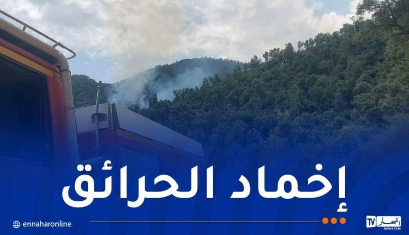 6 منها قيد الإخماد.. تسجيل 13 حريقا اليوم!