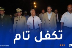 وزير الصحة يزور تيميمون للوقوف على جرحى الحادث المروري