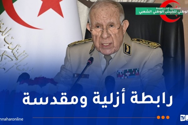 شنقريحة: اليوم الوطني للجيش سيبقى وسام شرف على صدور أبناء المؤسسة العسكرية