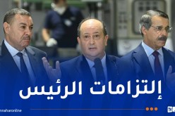 الوزير الأول: سيتم استرجاع الأملاك الوطنية مثلما سُطر مع رئيس الجمهورية