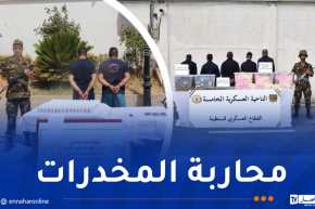 توقيف 29 تاجر مخدرات وحجز 589 ألف قرص مهلوس