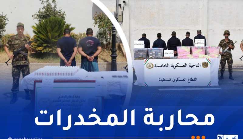 توقيف 29 تاجر مخدرات وحجز 589 ألف قرص مهلوس