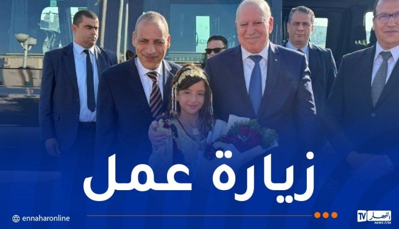 وزير الصناعة يتفقد عدد من المنشآت الصناعية في عنابة