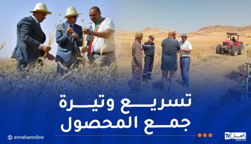 اجتماعات وتدابير ميدانية لإنجاح موسم الحصاد والدرس