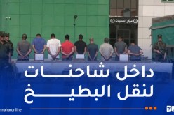 تفكيك شبكة إجرامية دولية وحجز قرابة 200 كلغ كيف بمستغانم
