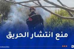 بجاية: محاصرة حريق تقنطوشت بكنديرة باستخدام طائرتي إخماد والرتل المتحرك
