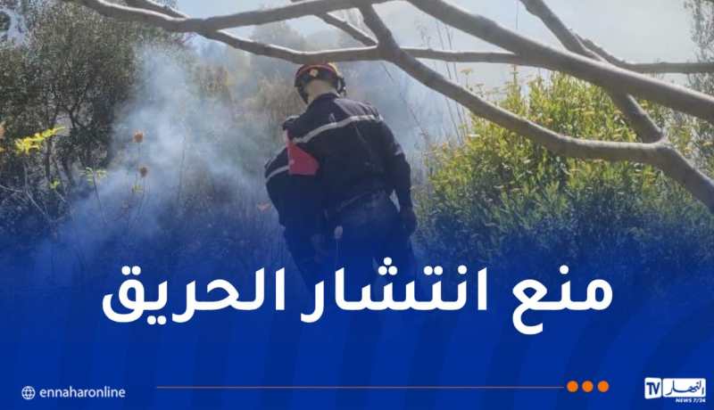 بجاية: محاصرة حريق تقنطوشت بكنديرة بطائرتي إخماد والرتل المتحرك