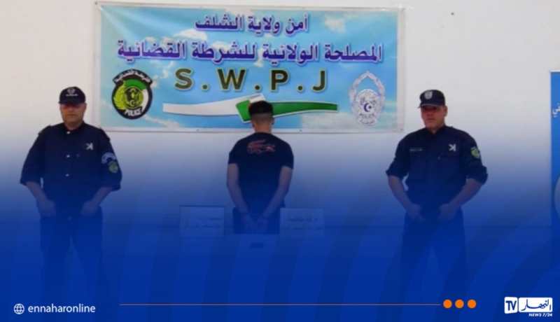 عبارات مسيئة للرسول ﷺ عبر تيك توك.. شرطة الشلف توقف صاحب الحساب