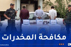جمارك الأغواط تحبط محاولة تهريب أزيد من 5 آلاف قرص مهلوس