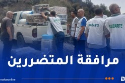 الخلايا الجوارية لوزارة التضامن تواصل تدخلاتها بالمناطق المتضررة من الحرائق بجيجل