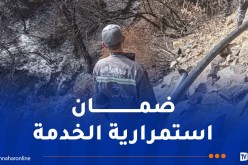 بجاية.. الجزائرية للمياه تواصل تدخلاتها لإعادة تأهيل الشبكات والمنشآت