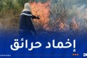 إخماد 33 حريقا من أصل 35 والعملية متواصلة بولايتين