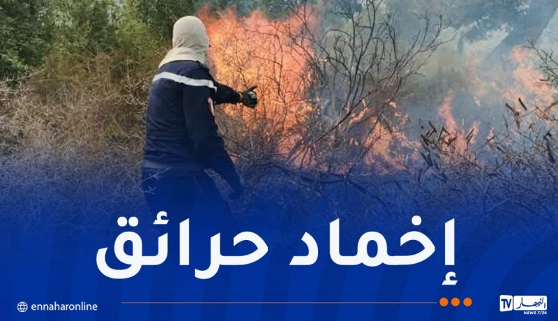 إخماد 33 حريقا من أصل 35 والعملية متواصلة بولايتين