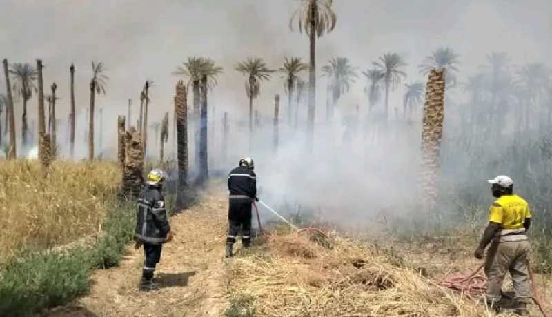 المغير .. الحماية المدنية تنجح في إخماد حريق بغابات النخيل