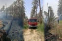 المغير.. حريق غابة نخيل بالسبالة