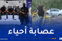 قالمة.. الإطاحة بـ3 عناصر مشتبه في انتمائهم لعصابة أحياء وحجز ذخيرة حية