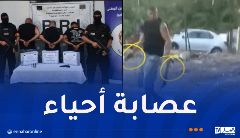 قالمة.. الإطاحة بـ3 عناصر مشتبه في انتمائهم لعصابة أحياء وحجز ذخيرة حية