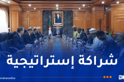 الشراكة الجزائرية-النيجرية.. سوناطراك تُرافق تطوير حقل “بيلما” بطاقة 20 ألف برميل يومياً