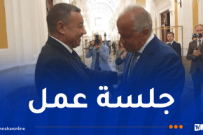 وزير الداخلية يُستقبل من قبل نظيره الإيطالي