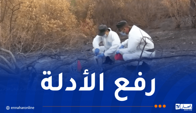 وحدات الدرك تباشر التحقيقات ورفع الأدلة من البؤر التي إندلعت منها الحرائق