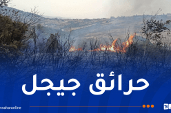 جيجل.. استمرار مكافحة 5 حرائق بهذه البلديات