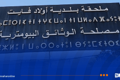 ولاية الجزائر تنفي إعتماد قوائم إسمية في استقبال وثائق السيارات ببلدية أولاد فايت