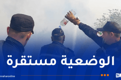 الإخماد النهائي لجميع الحرائق في ولاية جيجل