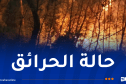 5 حرائق مُتبقية.. إخماد 118 حريقاً وإجلاء عائلات بجيجل