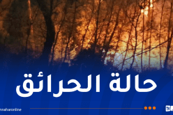إخماد 21 حريقاً ومواصلة محاصرة 3 حرائق متبقية عبر 3 ولايات