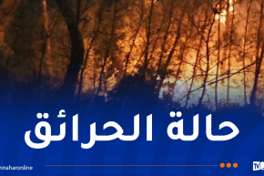 إخماد 21 حريقاً ومواصلة محاصرة 3 حرائق متبقية عبر 3 ولايات