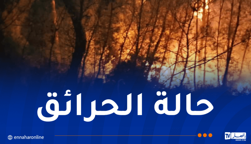 5 حرائق مُتبقية.. إخماد 118 حريقاً وإجلاء عائلات بجيجل