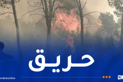 خنشلة.. حريق في الحامة يُهدد بالانتشار نحو مساحات غابية كثيفة