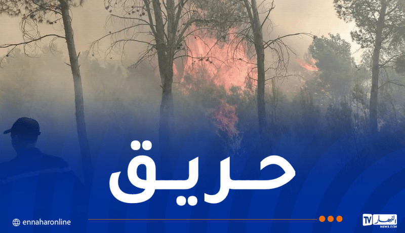 خنشلة.. حريق في الحامة يُهدد بالانتشار نحو مساحات غابية كثيفة