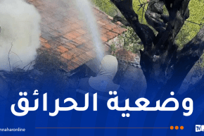 5 حرائق بسكيكدة و3 ببجاية وحريقان بجيجل.. إستمرار 29 حريقا عبر 15 ولاية