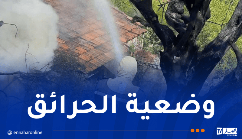 5 حرائق بسكيكدة و3 ببجاية وحريقان بجيجل.. إستمرار 29 حريقا عبر 15 ولاية