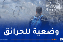 9 حرائق في جيجل.. إستمرار مكافحة 13 حريقا عبر 5 ولايات
