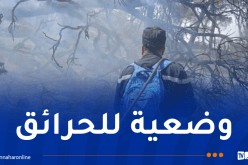9 حرائق في جيجل.. إستمرار مكافحة 13 حريقا عبر 5 ولايات