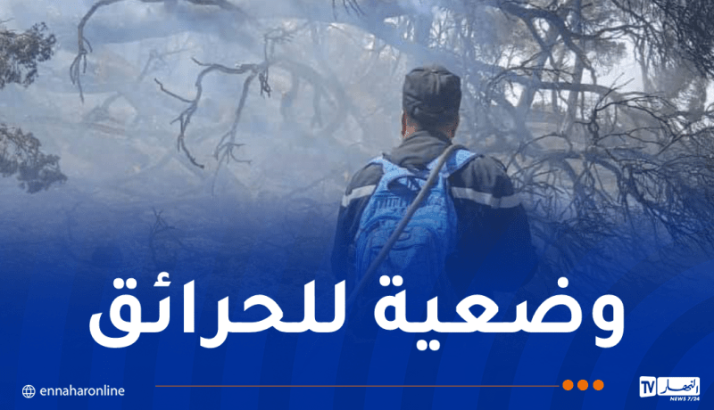9 حرائق في جيجل.. إستمرار مكافحة 13 حريقا عبر 5 ولايات