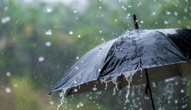 تساقط أمطار رعدية على هذه الولايات اليوم الجمعة