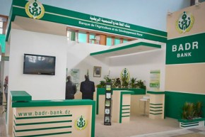 بنك “بدر” يطلق تمويلا للناقلين لاقتناء حافلات جديدة