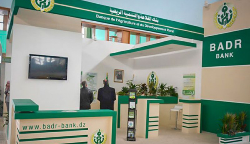 بنك “بدر” يطلق تمويلا للناقلين لاقتناء حافلات جديدة