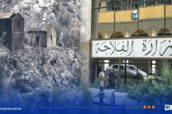 تعويضات عاجلة لضحايا الحرائق.. وزارة الفلاحة تكشف التفاصيل
