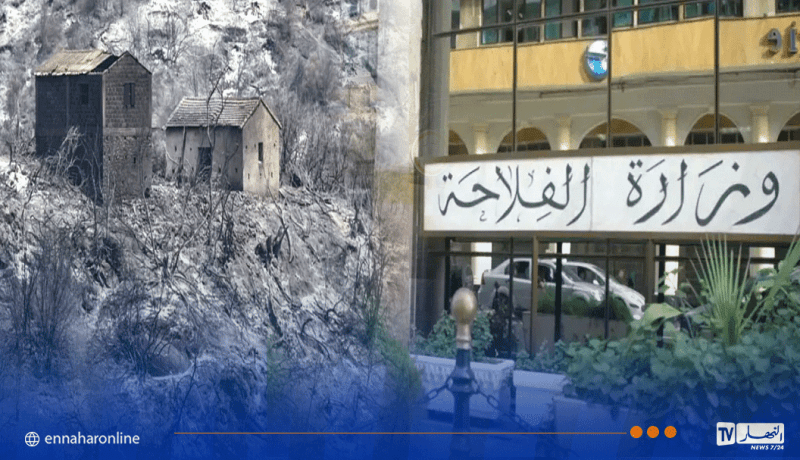تعويضات عاجلة لضحايا الحرائق.. وزارة الفلاحة تكشف التفاصيل