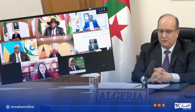 الجزائر تعرض دعمها اللوجستي والتقني لانتخابات جنوب السودان