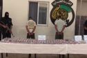 البويرة.. توقيف شخصين وضبط أزيد من 21 ألف كبسولة بريغابالين