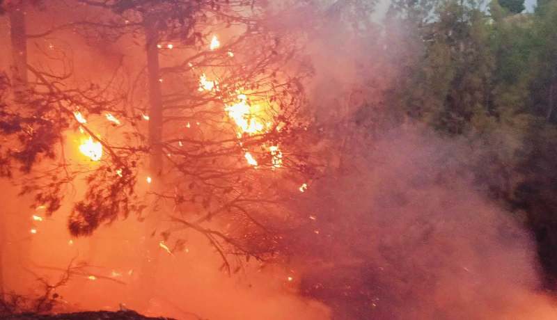 سطيف.. إخماد حريق أشجار صنوبر حلبي ببوعنداس